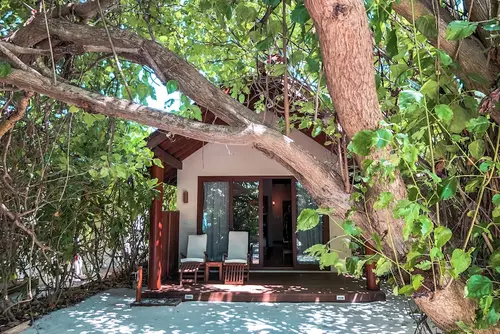 Reethi Faru Resort - Stay 5 Nights or more Between Aug-Sept 2025 & Enjoy a Free Sunset Cruise, Room