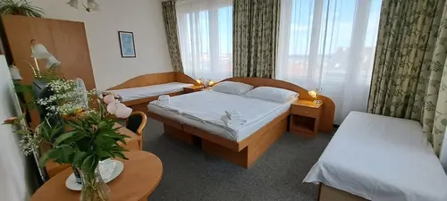 Hotel Legie, Room
