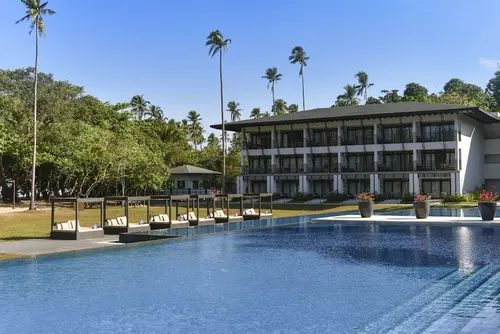 Seda Lio, Primary image