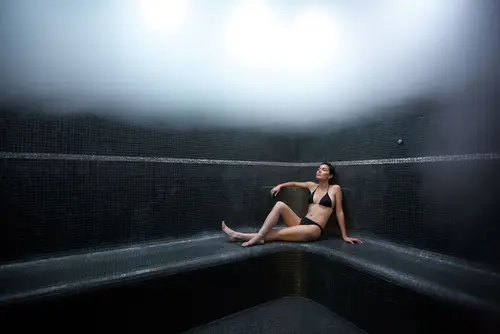 The Vine, Sauna