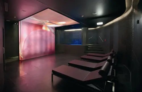 The Vine, Treatment room