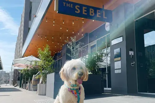 The Sebel Canberra Civic, Pet-friendly