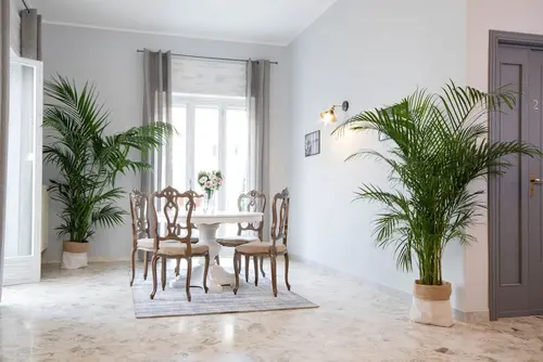 Rudiae Boutique, Lobby