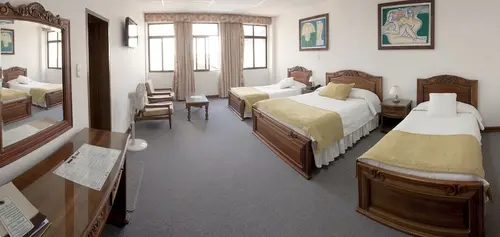 Gran Hotel Pereira, Room