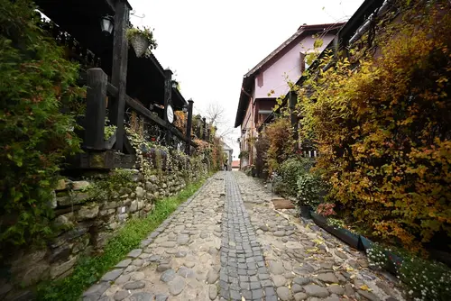 Mercure Sighisoara Binderbubi - Hotel & Spa, Bicycling