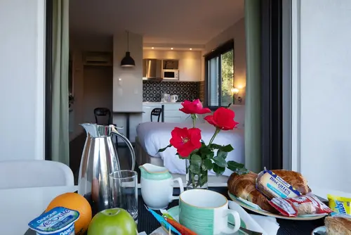 Résidence Hôtelière Alcyon, Room