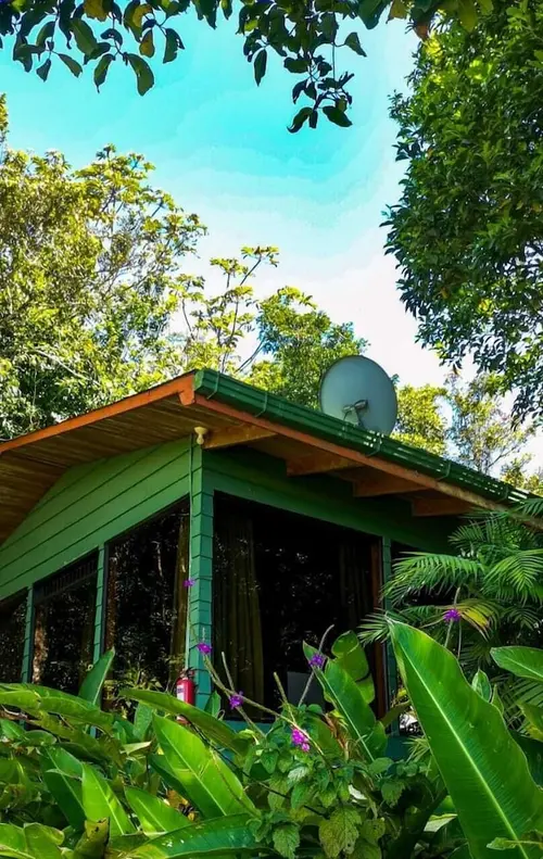 Hotel Flor de Bromelia, Room