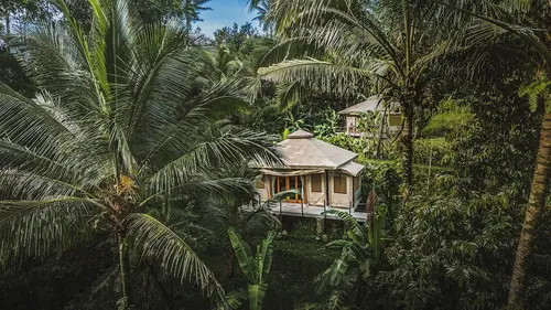 Nadi Nature Resort - Adults Only, Room