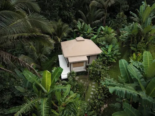 Nadi Nature Resort - Adults Only, Room