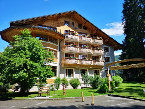 Ribno Alpine Hotel, General view