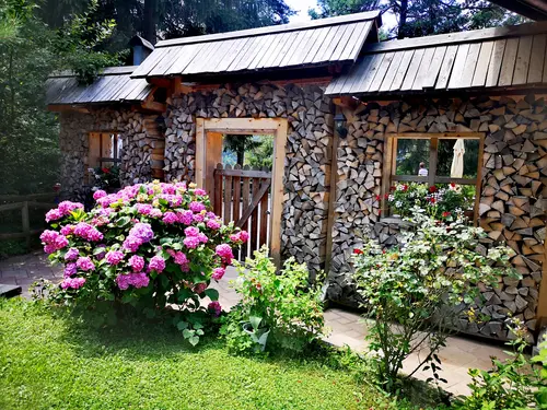 Ribno Alpine Hotel, General view