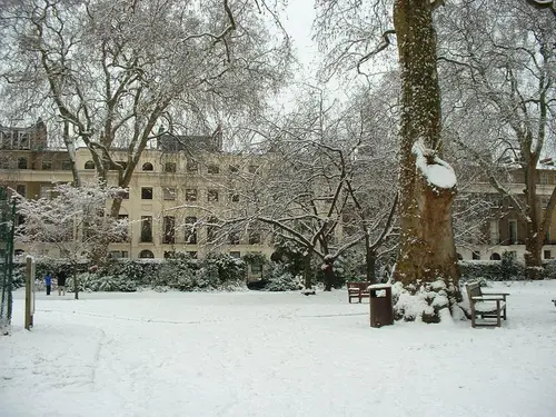 The Goodenough on Mecklenburgh Square, General view