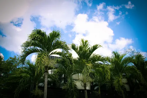 Urban Bacalar Hotel By MIJ, General view