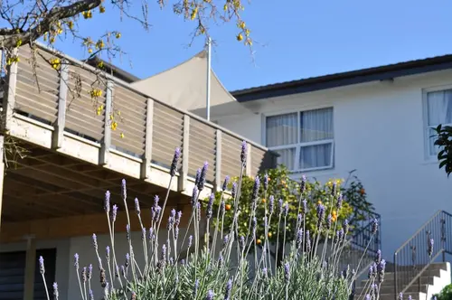 16 Havelock, 