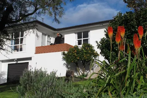 16 Havelock, 