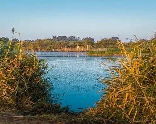 Azraq Eco Lodge, 