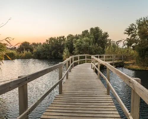 Azraq Eco Lodge, 