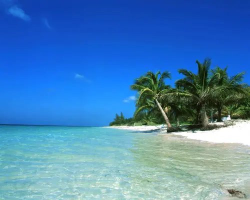 Hotel Cayo Levisa, 