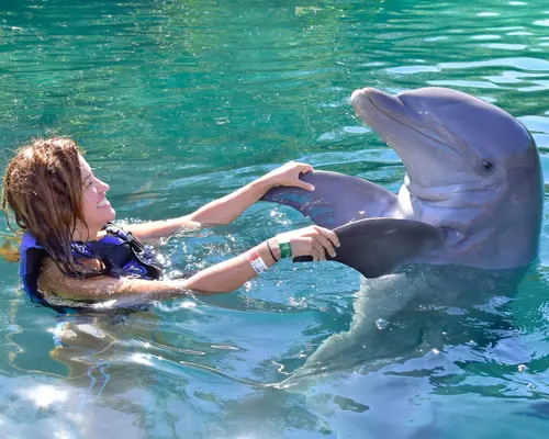 paquetes turisticos a Riviera Maya a tu medida con LATAM + Carry on "01 al 05abr"