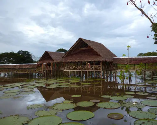 Tarapoto con JET SMART + Bolso de mano "02 al 05abr" desde Lima
