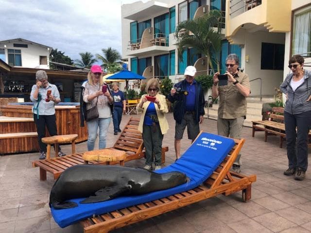 Hotel Solymar Galapagos, 