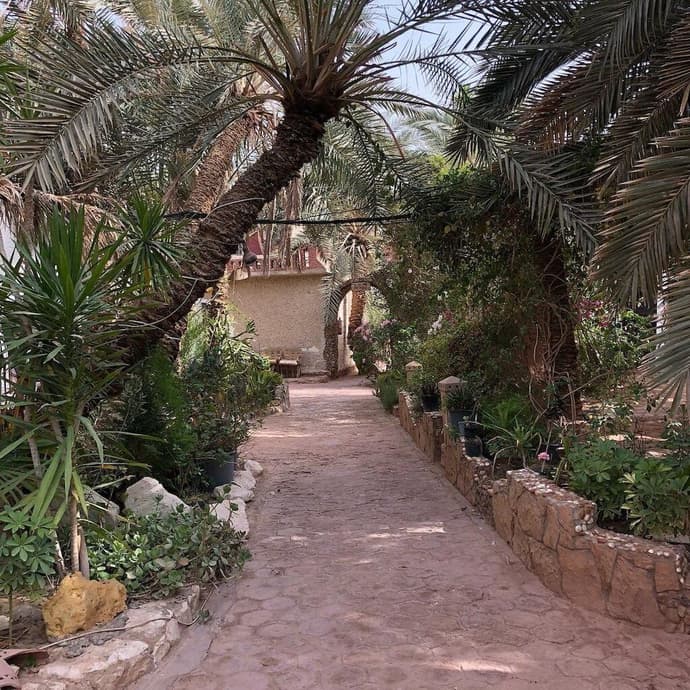 Siwa Safari Paradise Hotel, 