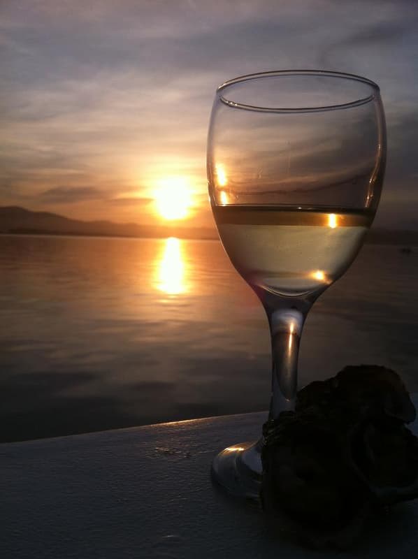 Knysna Charters - Sunset Cruise 90 min  - Min 1 Pax