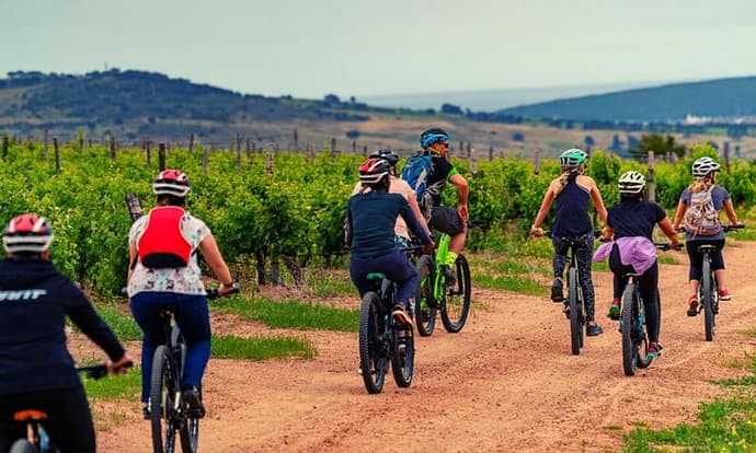 Bikes 'n Wines CC - Stellenbosch Winelands Luxury EBike Tour