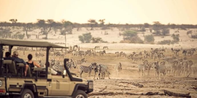 Migration Mission Day Trip (Dep: 06h00)