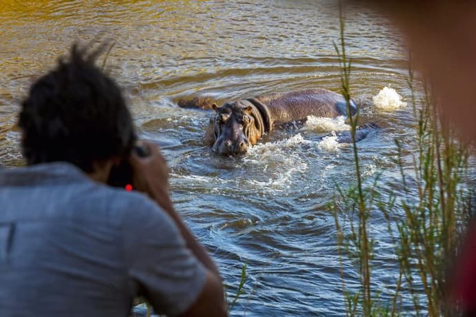 Private TIRS: Best of South Africa 2025