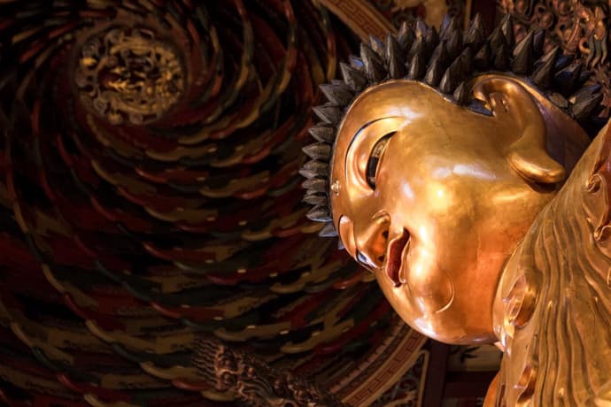 Escapada a la ciudad de Shanghái, Tour Privado