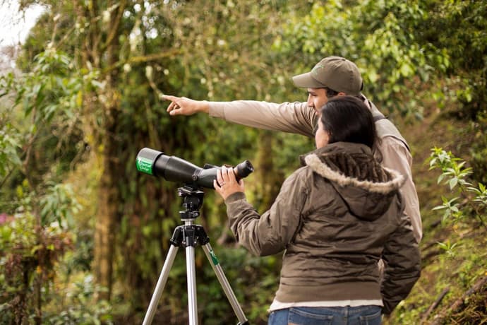 Observación de aves en Costa Rica (Bajo Petición)
