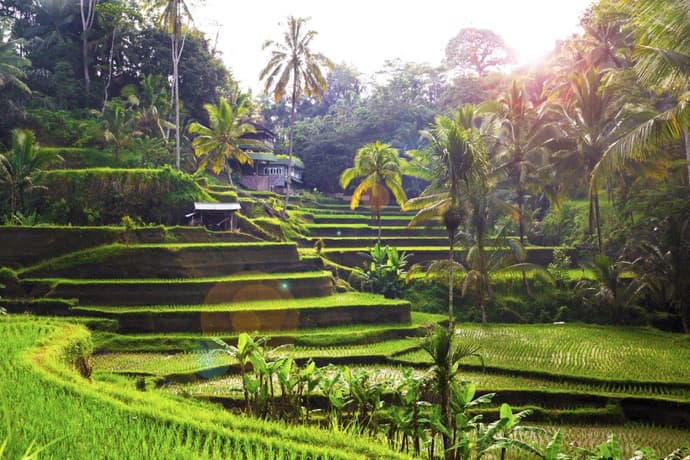 Unforgettable Bali, Private Tour