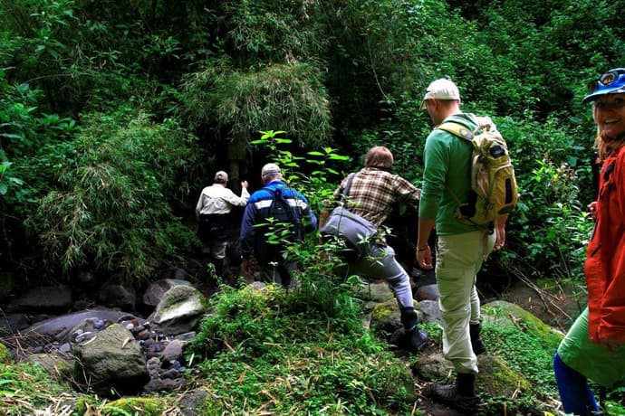 Gorilas en la niebla - Virunga Lodge (Sujeto a disponibilidad)