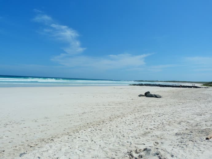 6 Días de Escapada a las Galápagos: Senderos Volcánicos y Encuentros con la Vida Silvestre