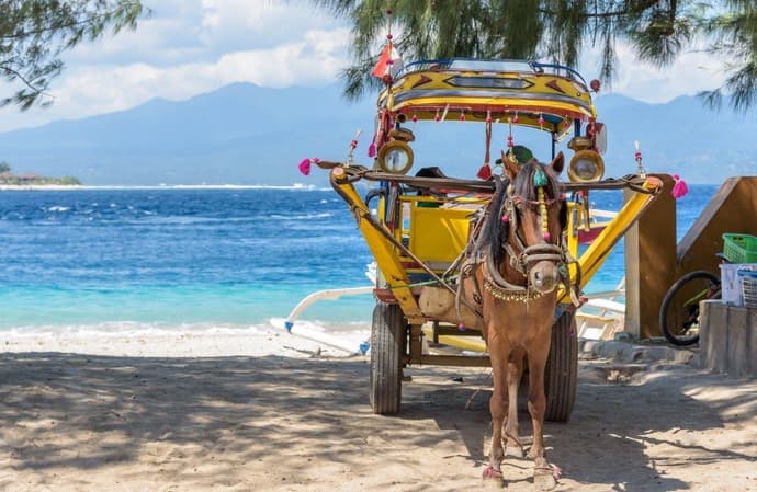 Exotic Gili Islands, Private Tour