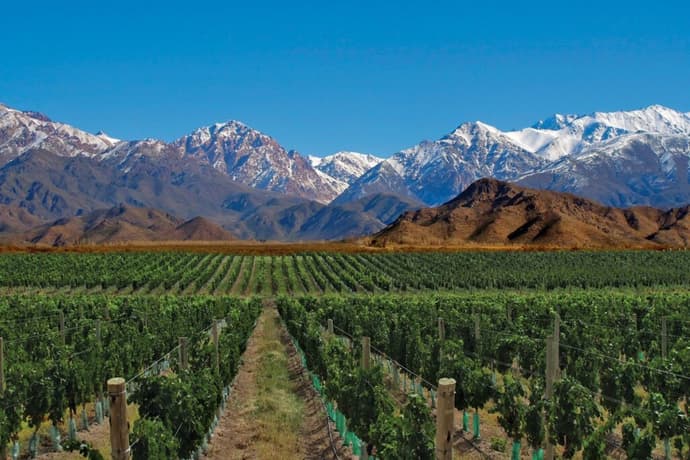4-Day Mendoza Wine Region Experience