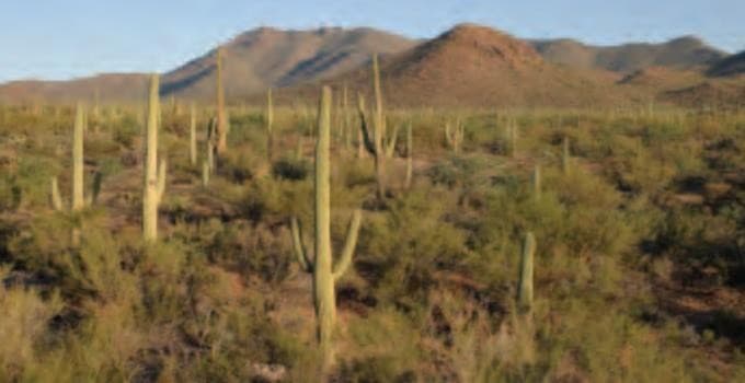 National Park Explorer - con inizio a Las Vegas