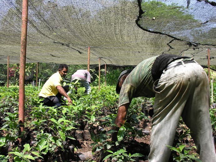 Highlights Dominican Republic