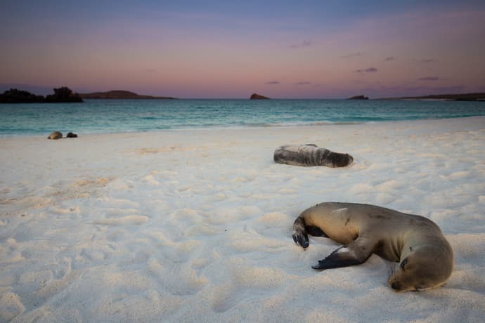 Galápagos in Grande: 9 Days of Adventure in the Most Iconic Islands