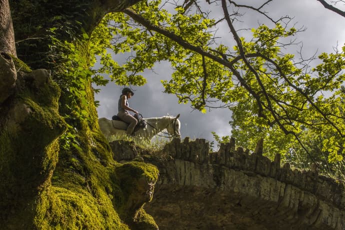Bosnia: Tra storia e Natura - Spalato / Sarajevo