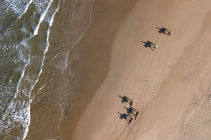 South Africa: a horse in the eastern cape - discovering the wild coast