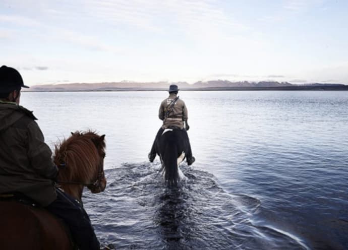 Iceland: Driving a herd of Icelandic horses