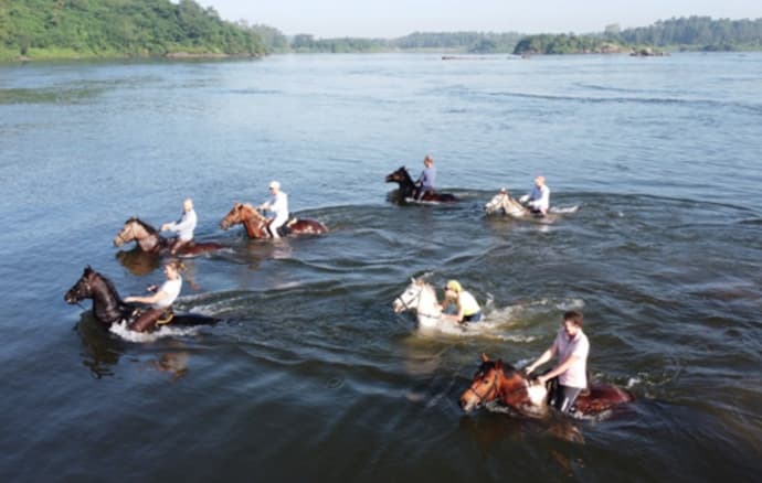 Uganda: alla scoperta del nilo bianco