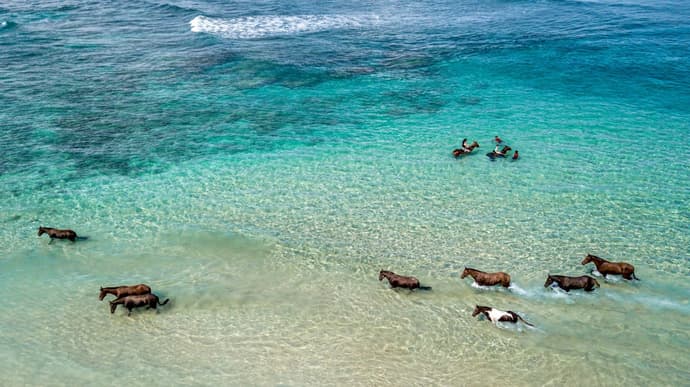 Indonesia: Lo spirito guerriero del popolo che venera i cavalli