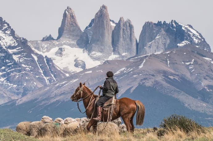 Chile: Patagonia - the torres del paine national park