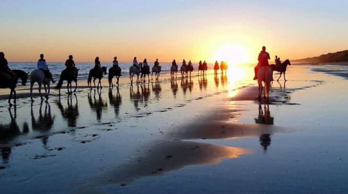 Spagna: Andalusia - il parco nazionale di Donana ed il Rocio