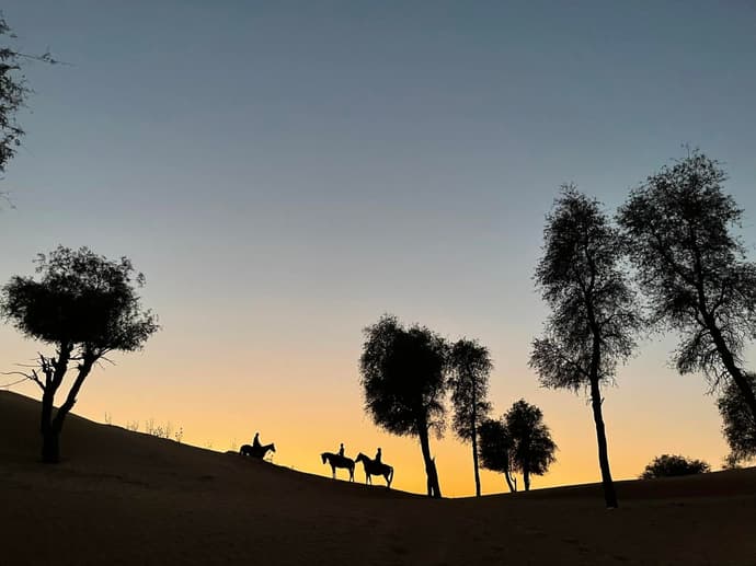 A cavallo a dubai: il primo tra gli emirati