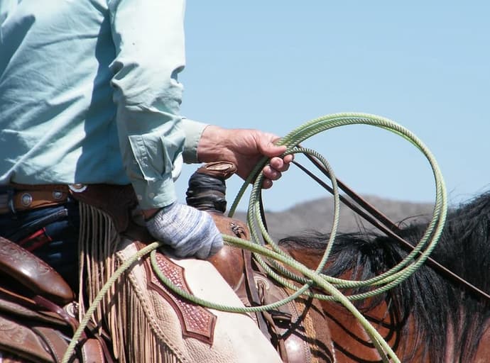 Stati Uniti: Montana - sulle tracce di nicholas evans