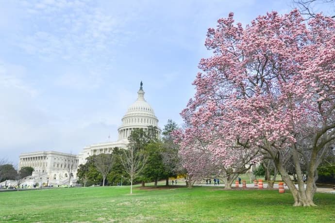 Circuito Mini Washington DC - 3 Días